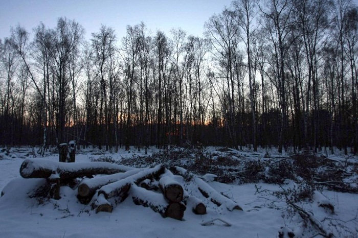 Russian deserter found after hiding in forest for over 10 years